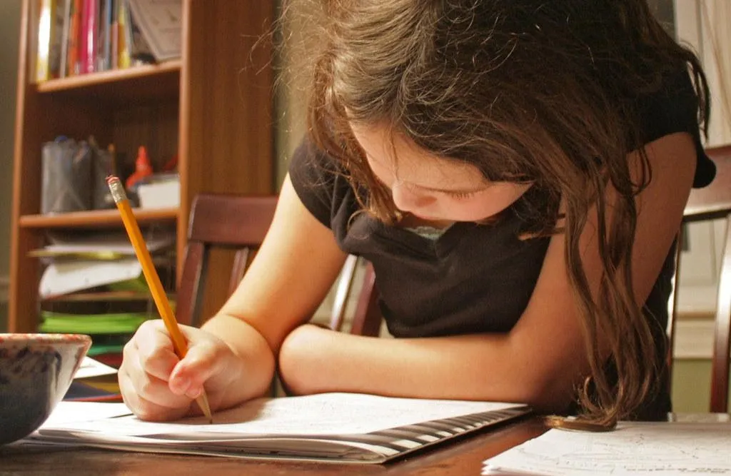 English (ELA) Private Lesson